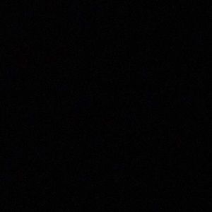 Meet your Posher, Cami